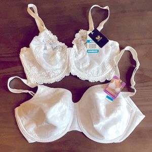 Cabernet Bra & Wacoal Bra